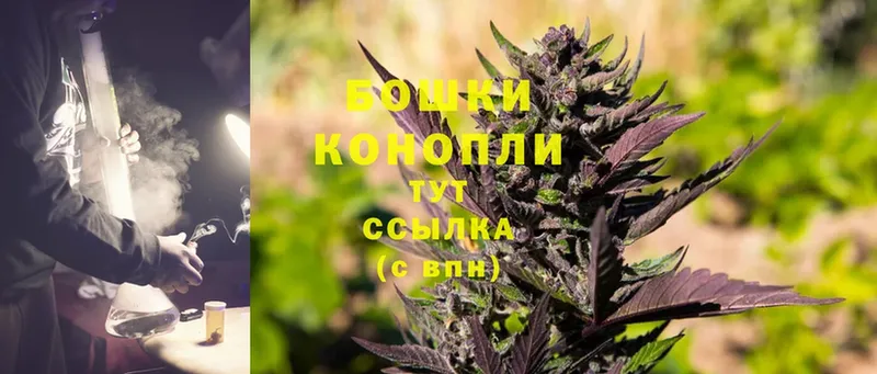 Конопля SATIVA & INDICA  как найти наркотики  Кушва 